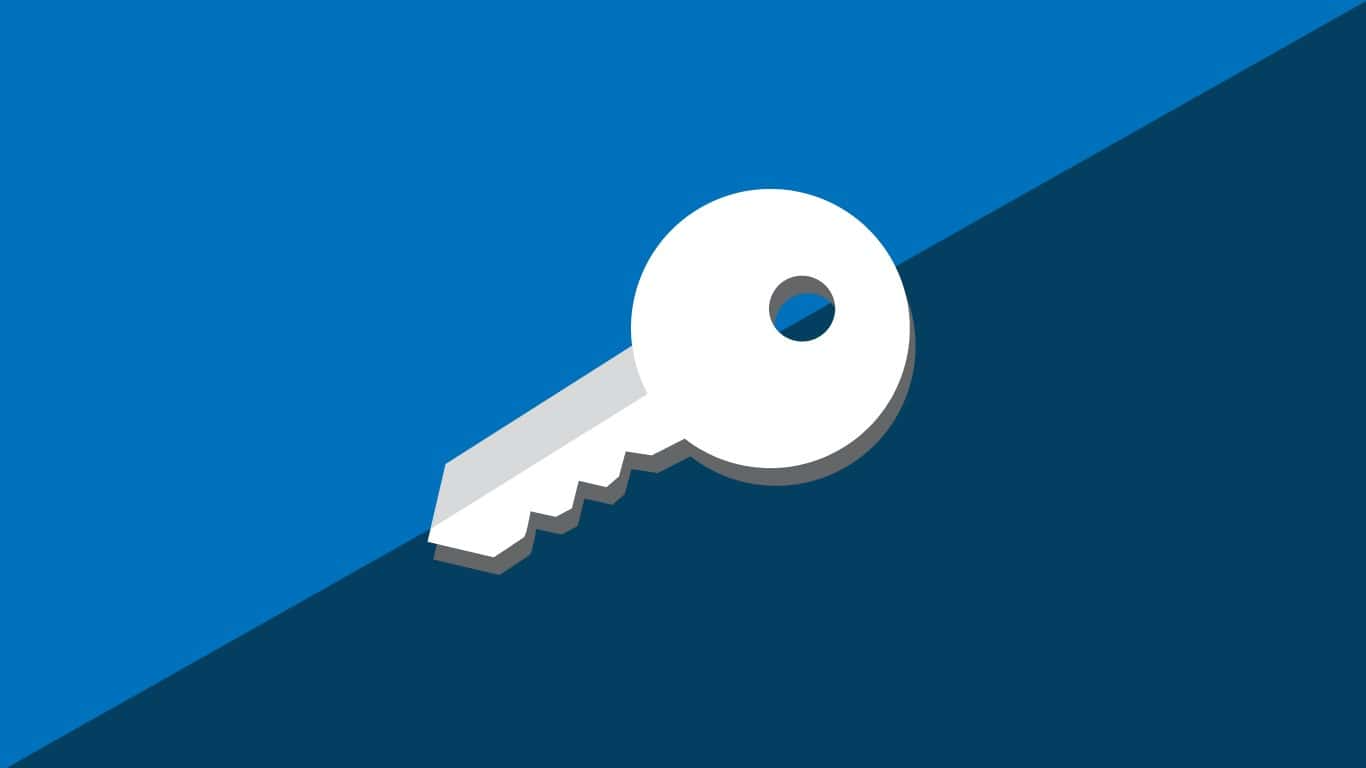 Proqram Təminatları